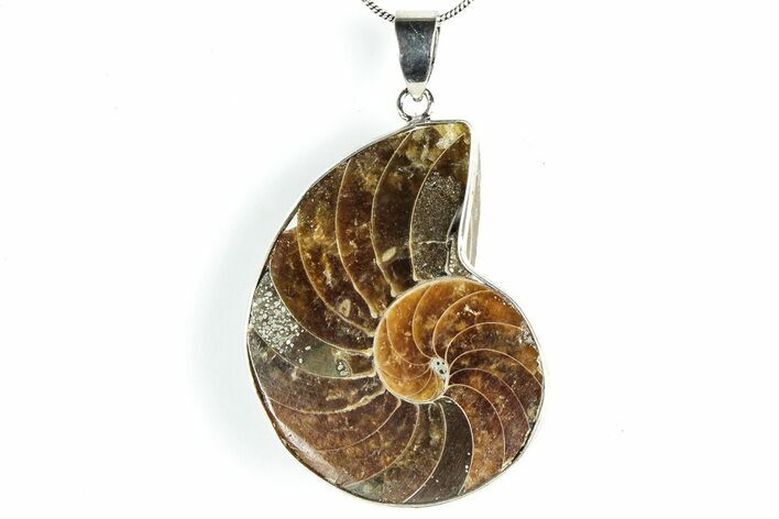 Fossil Nautilus Pendant - Million Years Old #306510